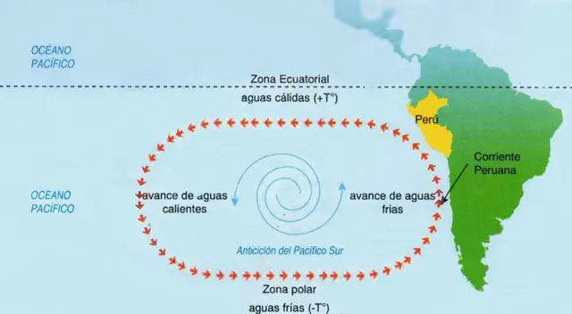 Se origina por el ascenso de las aguas del fondo del mar. Se origina por el ascenso de las aguas del fondo del mar.