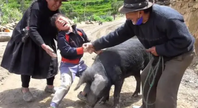 Quién es Yaku, el niño que lloró para que no hicieran chicharrón a su cerdito ‘Cuchi’ Quién es Yaku, el niño que lloró para que no hicieran chicharrón a su cerdito ‘Cuchi’