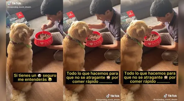 El muchacho realiza este procedimiento con la comida porque su perro come muy rápido. Foto: captura de TikTok El muchacho realiza este procedimiento con la comida porque su perro come muy rápido. Foto: captura de TikTok
