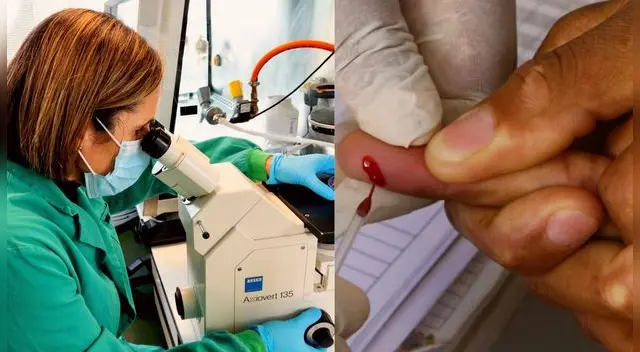 Desde el descubrimiento del VIH la ciencia busca una cura.