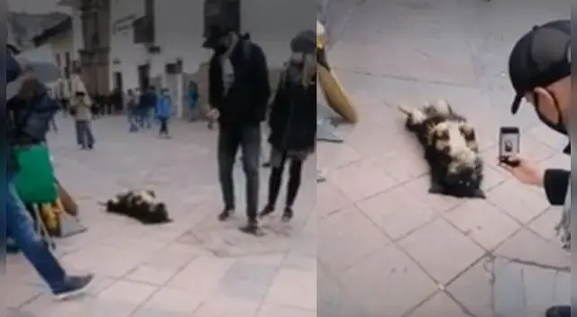 La escena se ha vuelto tendencia en las redes. La escena se ha vuelto tendencia en las redes.