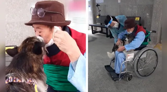 El perrito se lanzó a los brazos de su dueño sin saber que sería la última vez que vería a su cuidador. Foto: captura de YouTube/Kritter Klub El perrito se lanzó a los brazos de su dueño sin saber que sería la última vez que vería a su cuidador. Foto: captura de YouTube/Kritter Klub