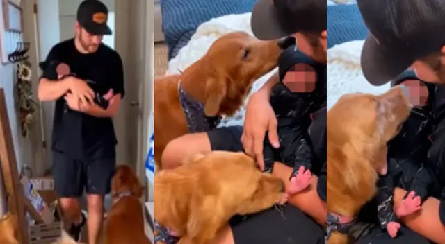 El hecho no tardó en volverse viral. El hecho no tardó en volverse viral.