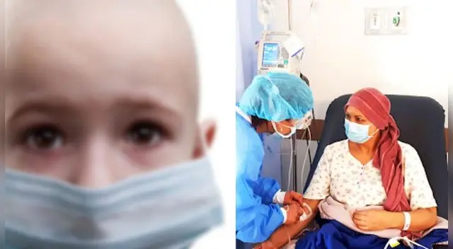 La leucemoa ataca los tejos y la médula ósea .