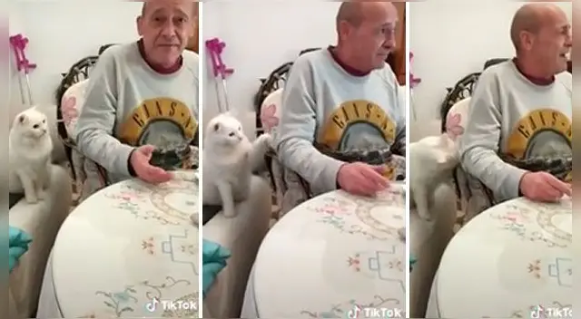 El hecho ha causado la risa de miles en las redes sociales. El hecho ha causado la risa de miles en las redes sociales.