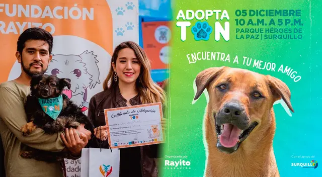 El evento también ofrecerá desparasitación y aplicación de antipulgas gratis y miles de productos en venta para los engreídos del hogar. El evento también ofrecerá desparasitación y aplicación de antipulgas gratis y miles de productos en venta para los engreídos del hogar.