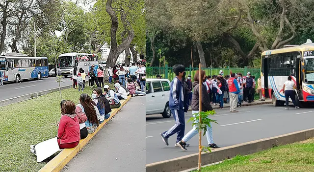 Marcha para vacar a Pedro Castillo habría sido organizada con anticipación, según conductor de bus. Marcha para vacar a Pedro Castillo habría sido organizada con anticipación, según conductor de bus.