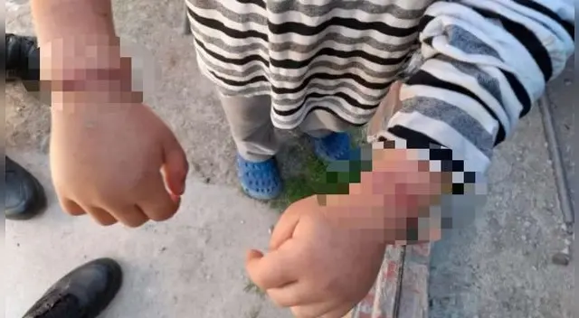 Lamentable. Los pequeños sufrieron de maltrato psicológico y físico, además estaban desnutridos. Lamentable. Los pequeños sufrieron de maltrato psicológico y físico, además estaban desnutridos.