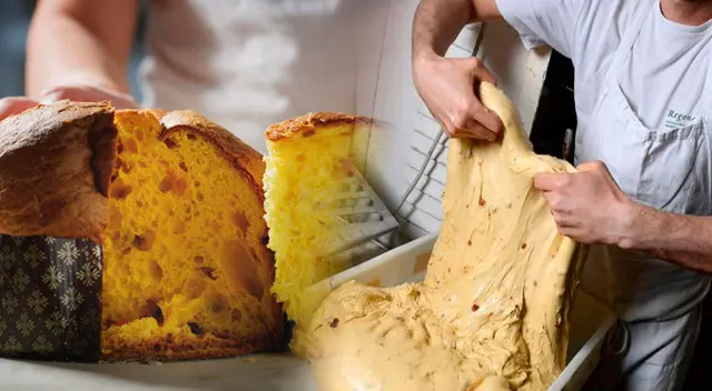 Conoce los pasos para preparar un rico panetón por Navidad