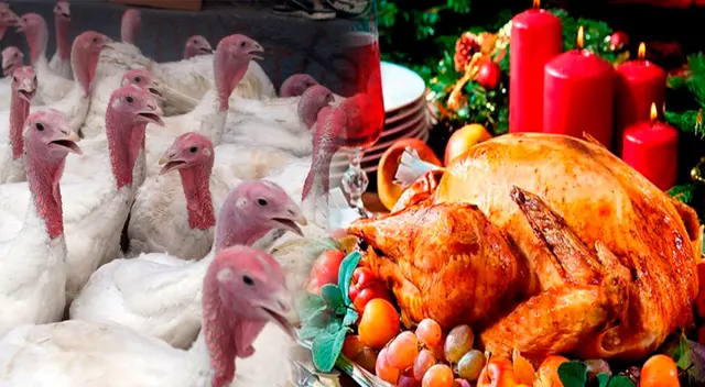 Precio del pavo sube a pocas semanas de celebraciones por fin de año