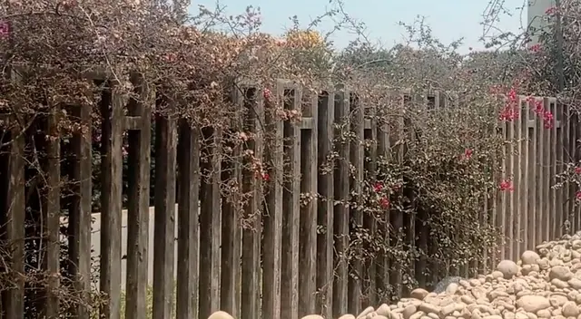 Sedapal sigue buscando a niño que cayó en su laguna