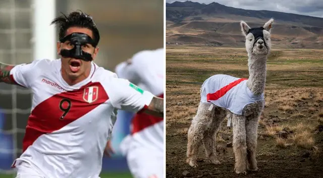 'Alpacadula' es de Chiluyo, Mazocruz, Zona Alpaquera Aymara, en Puno.