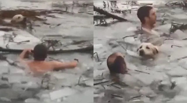 Policías salvaron a un perro de un lago congelado en España. | Foto: Twittwe @guardiacivil/Composición el Popular