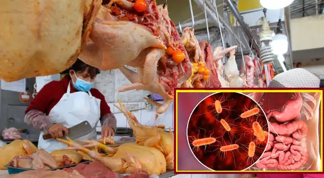 Investigadores encontraron 34 cepas de Escherichia Coli en 21 muestras analizadas