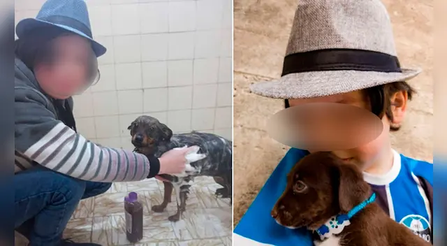 El niño invierte sus horas de ocio en la realización de una noble acción: bañar a perritos sin hogar para su pronta adopción. Foto: captura de Facebook El niño invierte sus horas de ocio en la realización de una noble acción: bañar a perritos sin hogar para su pronta adopción. Foto: captura de Facebook