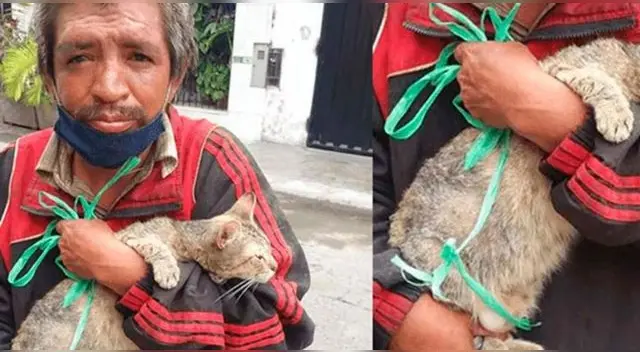 Persona de la calle rescata y cuida a gatito que querían matar en el distrito limeño. Foto: Facebook | Composición el Popular