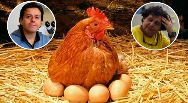 Congresistas esperan que su proyecto sea aprobado en el Parlamento. Congresistas esperan que su proyecto sea aprobado en el Parlamento.