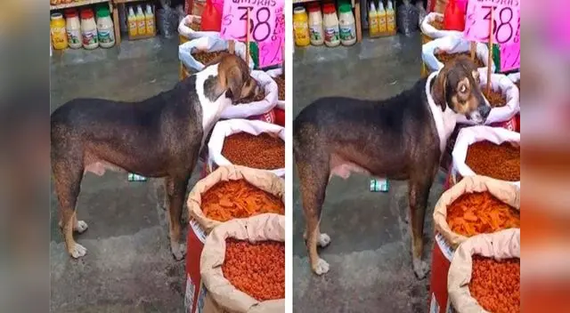 El video se publicó en Facebook y captó la atención de los internautas que rápidamente reaccionaron.