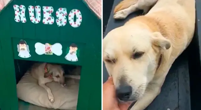 El video fue compartido por la cuenta oficial de TikTok de la Policía Nacional del Perú . El video fue compartido por la cuenta oficial de TikTok de la Policía Nacional del Perú .