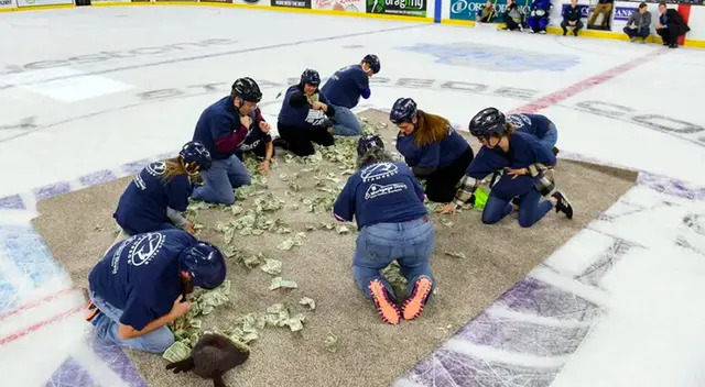 Los organizadores no se imaginaron que el concurso, que tenía como fin financiar sus propias aulas, sería duramente criticado. Los organizadores no se imaginaron que el concurso, que tenía como fin financiar sus propias aulas, sería duramente criticado.