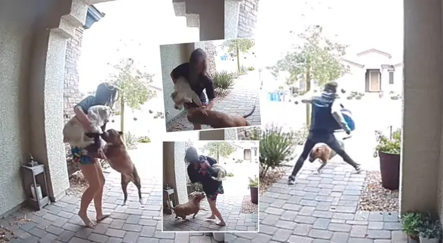 Particular reacción de la repartidora se hizo viral en redes sociales. Particular reacción de la repartidora se hizo viral en redes sociales.