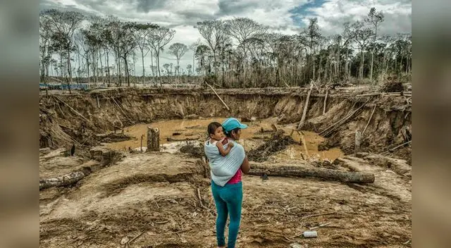 Madre de Dios se han perdido más de 100,000 hectáreas de bosques