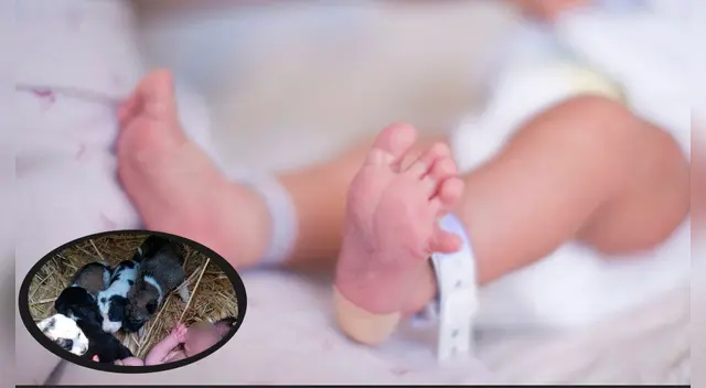 La Policía está investigando el caso de la recién nacida.