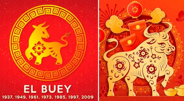 Horóscopo Chino 2022 sobre salud, dinero y amor para el Buey.