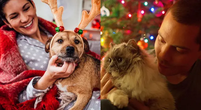 Primero hay que aceptarlo y tratar de enfocarnos en otras actividades que nos motiven a celebrar. Primero hay que aceptarlo y tratar de enfocarnos en otras actividades que nos motiven a celebrar.