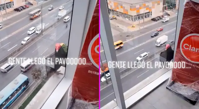 El joven registró el insólito momento con su celular.