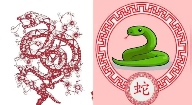 Que le repara este 2022 para la serpiente.