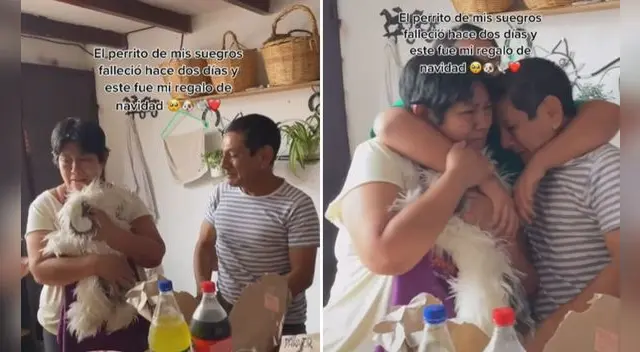 Más de 37.000 usuarios han dejado una reacción en el clip, además de otros cientos de emotivos comentarios. Foto: captura de TikTok