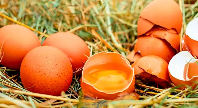 Significado de soñar con huevos rotos. Significado de soñar con huevos rotos.