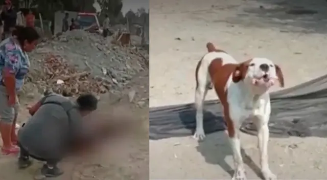 Vecinos encontraron a la anciana tras el salvaje ataque Vecinos encontraron a la anciana tras el salvaje ataque