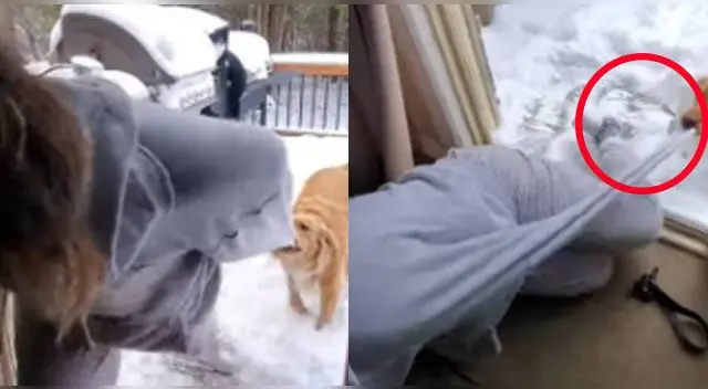 La escena se ha vuelto viral en las redes sociales. La escena se ha vuelto viral en las redes sociales.