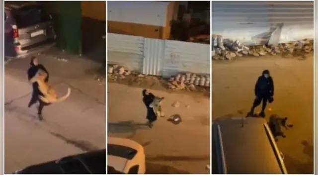 De no creer. La escena que se hizo tendencia tuvo lugar el viernes pasado en el distrito de Sabahiya.