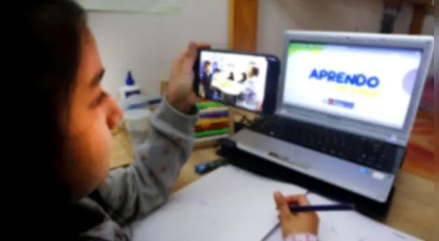 La programación esta dirigido a los alumnos de inicial, primaria y secundaria