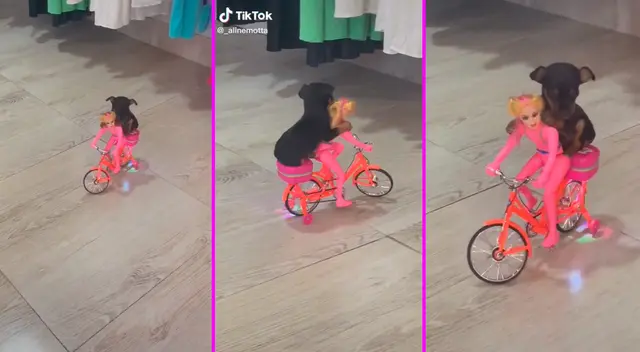 El perrito se dio un paseo en el juguete de su dueña. El perrito se dio un paseo en el juguete de su dueña.