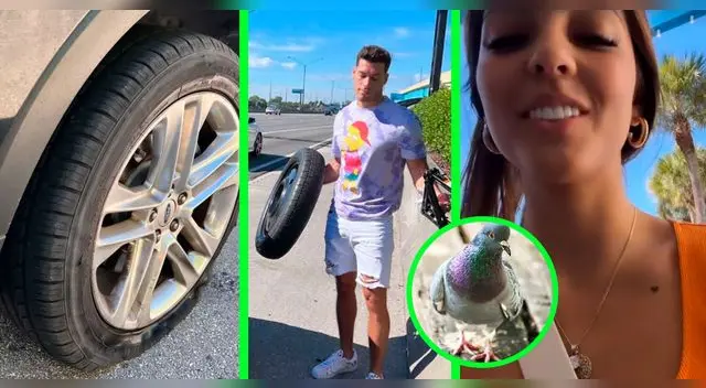 Luciana Fuster y Patricio Parodi pasan días de infarto en Miami. Luciana Fuster y Patricio Parodi pasan días de infarto en Miami.