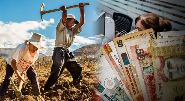 Bono agrario de 350 soles para agricultores. Conoce todos los detalles AQUÍ