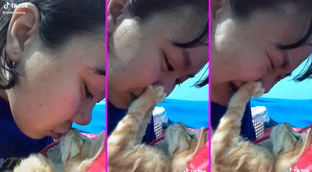 El emotivo video es viral.