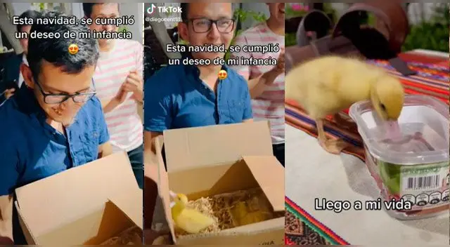 La alegría del joven por tener nuevamente un patito como mascota ha emocionado a miles de usuarios en las redes sociales. La alegría del joven por tener nuevamente un patito como mascota ha emocionado a miles de usuarios en las redes sociales.