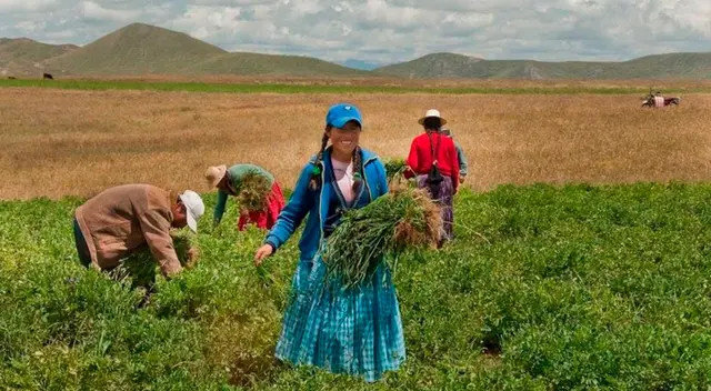 Conoce AQUÍ todos los detalles del nuevo Bono Agrario 2022