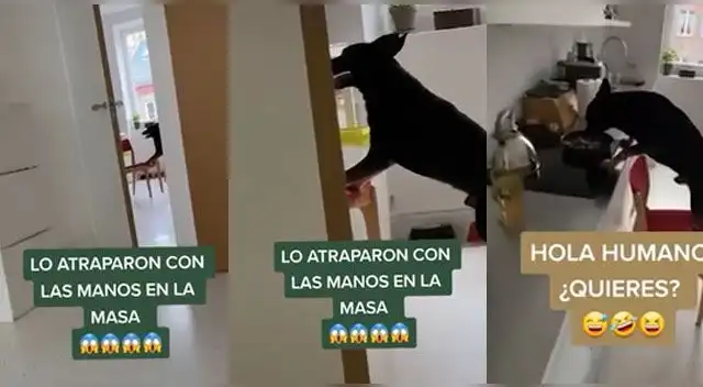 La escena se ha vuelto viral en las redes. La escena se ha vuelto viral en las redes.