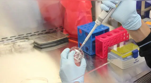 Conoce AQUÍ todos los detalles de la coinfección Flurona que ya lleva tres casos y una muerte en el Perú. Conoce AQUÍ todos los detalles de la coinfección Flurona que ya lleva tres casos y una muerte en el Perú.