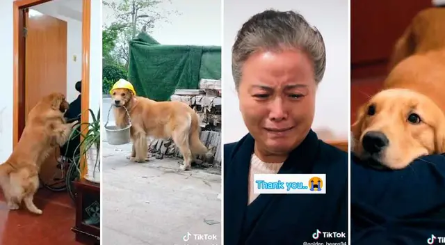 El perro Beans tiene más de 660 mil seguidores en TikTok. El perro Beans tiene más de 660 mil seguidores en TikTok.