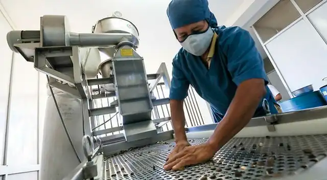 Consulta la fecha de pago y la modalidad del Bono de 210 soles.