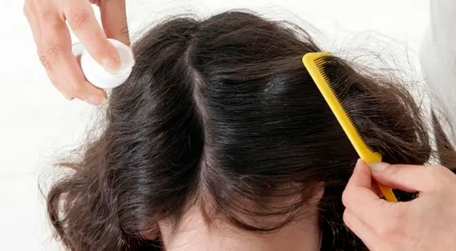 Significado de soñar que mi hija tiene piojos y los mato. Significado de soñar que mi hija tiene piojos y los mato.