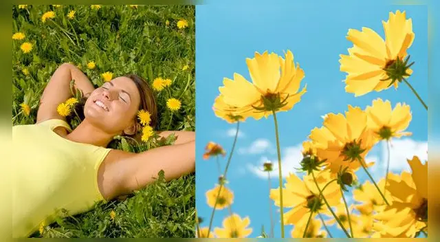 ¿Cuál es el significado de este singular sueño? ¿Cuál es el significado de este singular sueño?