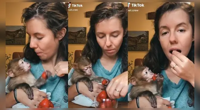 La escena es viral en las redes sociales. La escena es viral en las redes sociales.